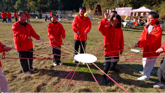 1733990263916798.png image.png